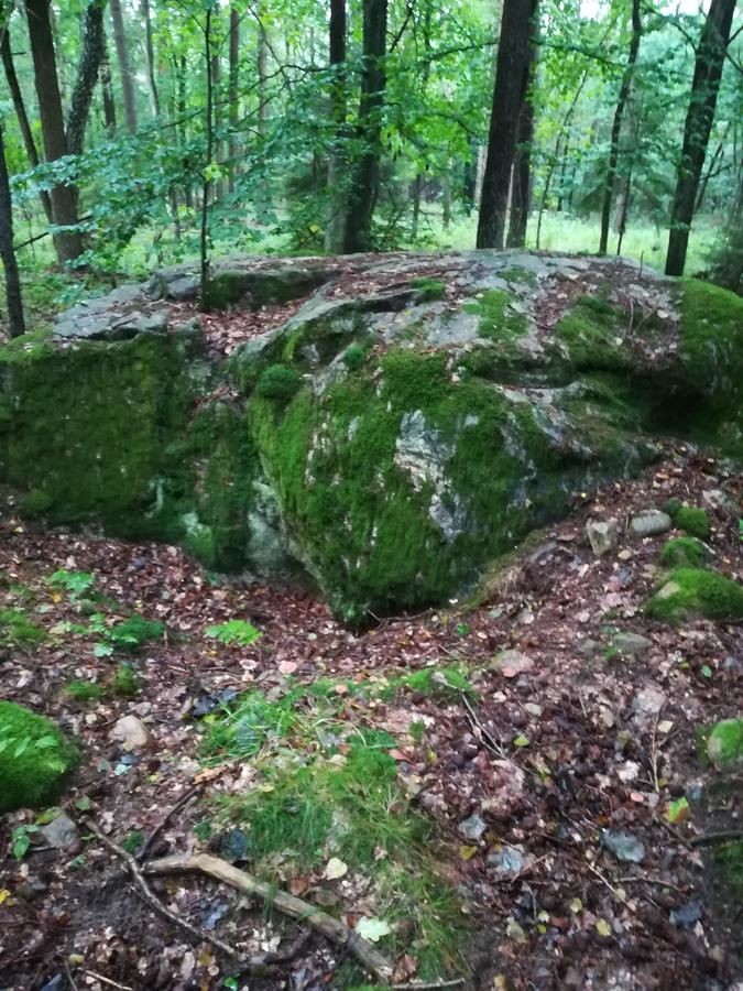 Фермерские дома Agroturystyczny Dom Na Skraju Lasu Sławoborze-35